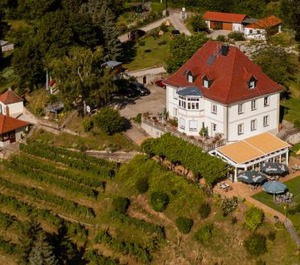 Flair Hotel Villa Ilske 