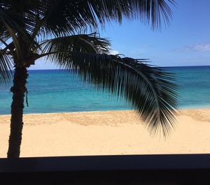 Hawaiian Princess Waianae 