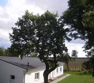 Holiday Underfloor Heating Fireplace Terrace