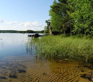 Pynnölänniemi 
