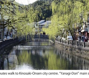 Kinosaki Knot 