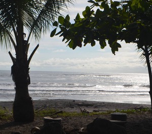 Loft Marbella Guanacaste Surf