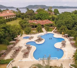 Occidental Papagayo Adults