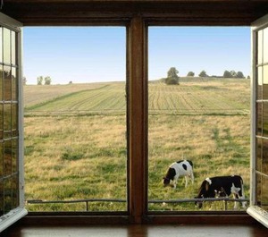 Stylish The Countryside Km Sea 