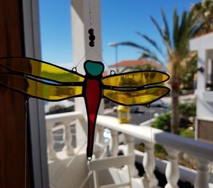 The Magic Dragonfly 