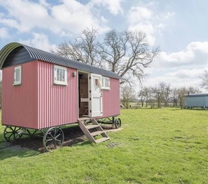 Thyme Shepherds Boundary Farm Air Manage Suffolk 