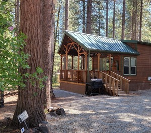 Springs Resort Mt Lassen