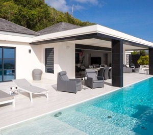 Villa Dog 