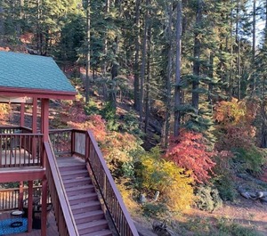 Loft Yosemite National Park 
