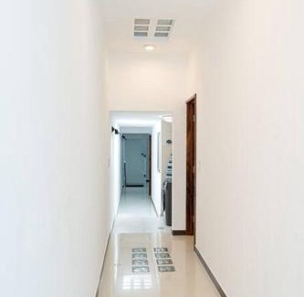 Zitacuaro Apartment | Árbol de Guanacaste