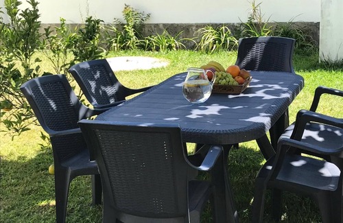 Arvore House | Árvore Cozy com Jardim