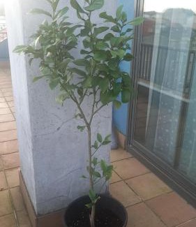 Ares Apartment | ÁTICO 2 terrazas LEMASALUD