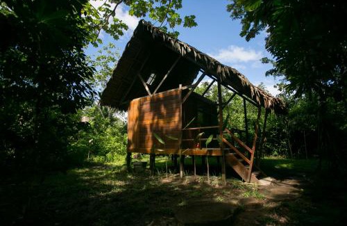 Indiana Cabin | Ämak Iquitos Ecolodge - All Inclusive
