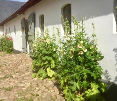 Horby Bed & Breakfast | Åkeslund