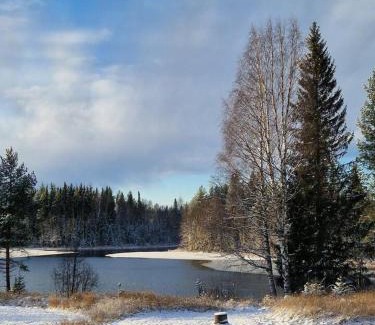 Niemisel House | Åviken Cabin