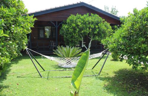 Cirali Villa | Çıralı Villa's