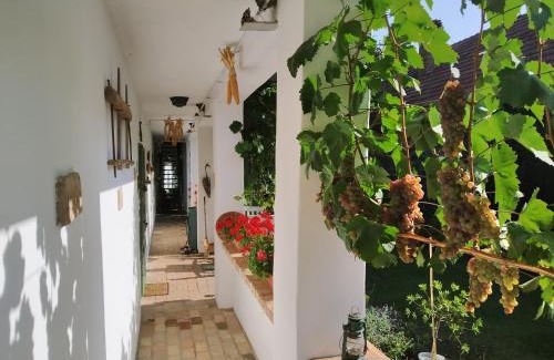 Bakonyszucs House | Égkőris Vendégház