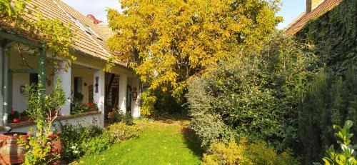 Bakonyszucs House | Égkőris Vendégház
