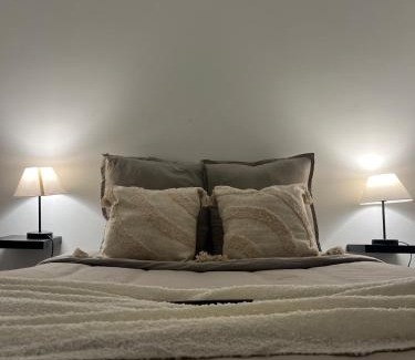 La Roche-sur-Yon Apartment | Élégant & tout confort
