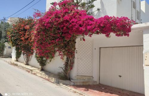 Ariana Villa | Étage de Villa avec jardin, près de l'aireport et parking privé