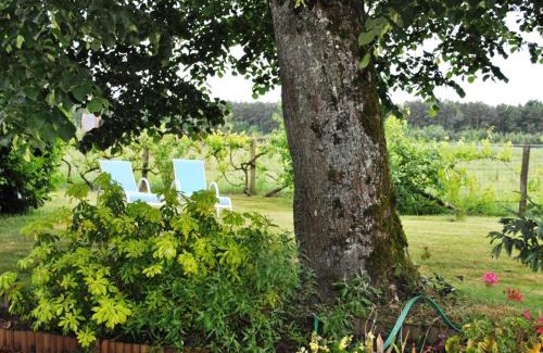 Paulmy House | Évasion paisible en Touraine, gîte authentique avec jardin clos, proche forêt, idéal famille et amis - FR-1-381-321