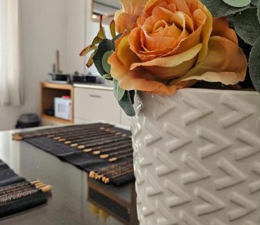 Campinas Apartment | Ótimo Apartamento