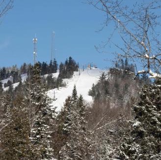 Saint Come Ski Chalet | ÔShack - spa - billiard
