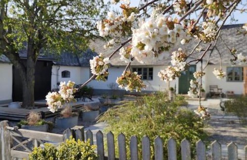 Ystad House | Öja