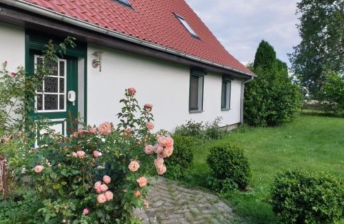 Rappin House | Öko-Ferienhaus