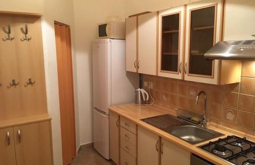Brno-stred Apartment | Útulné ubytováni u centra v blízkosti Výstaviště