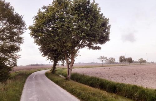 Stedesdorf Apartment | Übernachtung im Bauwagen an der Nordseeküste