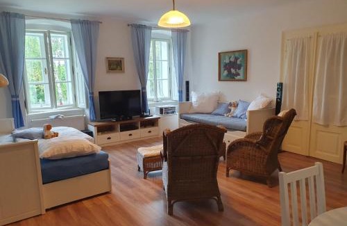 Vysoke Myto Apartment | Čečetkův statek