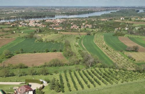 Petrovaradin House | Čerevićki Raj