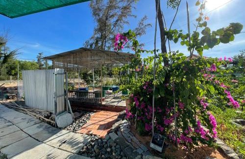 Bac Binh Hotel | Đức Lưu Quang Hotel Bình Thuận