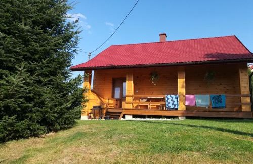 Myczkow Cabin | Łabudówka