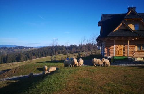 Gliczarow Gorny Ski Chalet | Łosiowa Chata Leśnica Gliczarów Górny