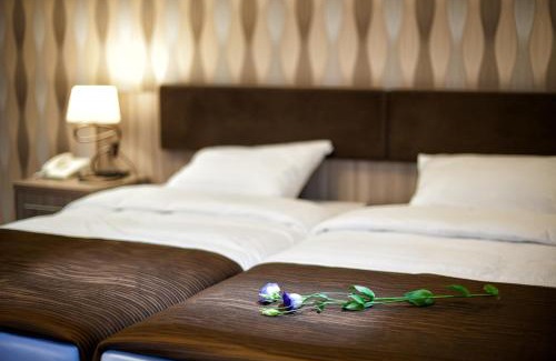 Zagnansk Resort | Świętokrzyska Polana - Medical Resort