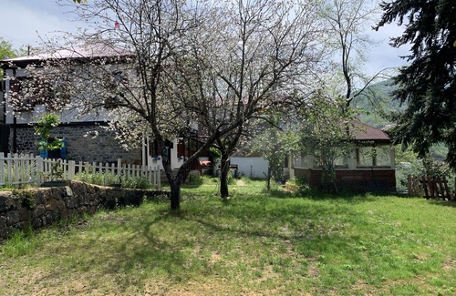 Akcaabat Villa | Şamlıoğlu Historical Mansion