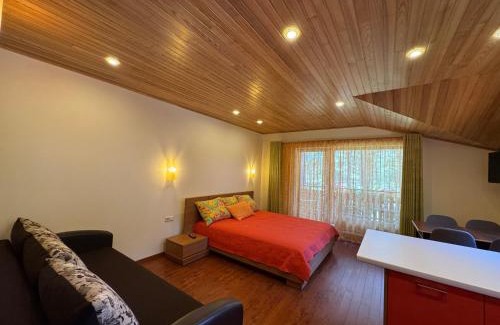 Kurzeme Apartment | Šalkoni