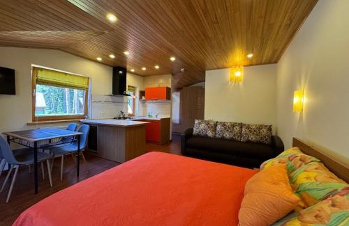 Kurzeme Apartment | Šalkoni