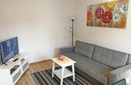 Siauliai City Center Apartment | Šiauliai Central Apartment @ Trakų street