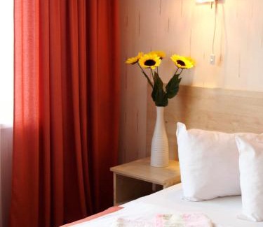 Joniskis Hotel | Šiaurės Vartai
