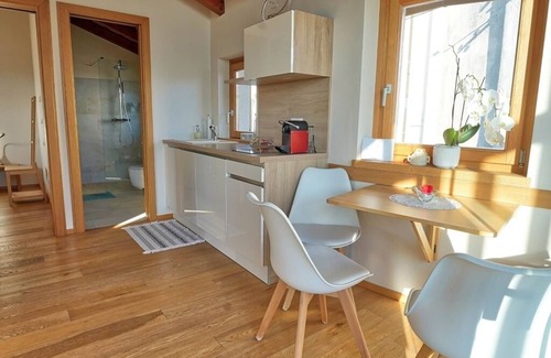 Ljubljana Bed & Breakfast | Šmartno – Goriška Brda : PENTHOUSE APARTMENT