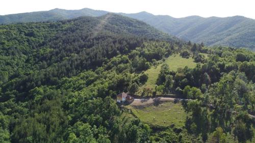 Bogutovac House | Šumska kuća Ilija