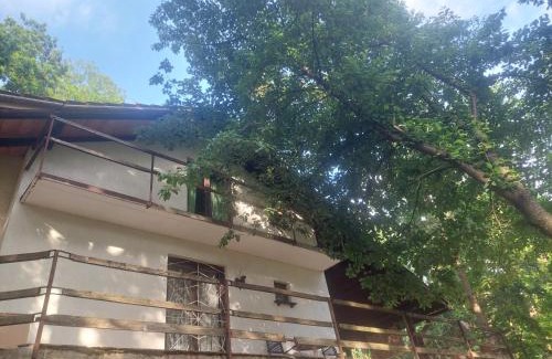 Belgrade House | Šumski raj Lipovica