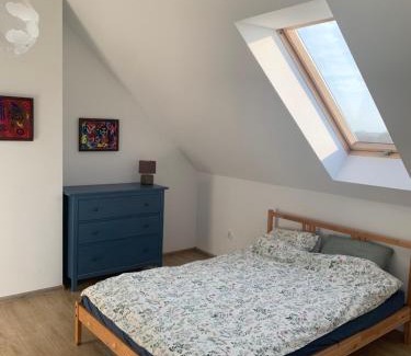 gmina Brzuze Villa | Żałesisko