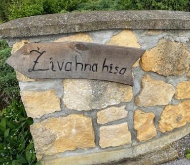 Sovjak House | Živahna hiša