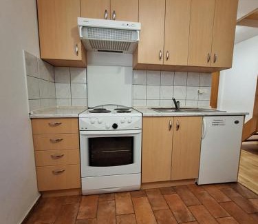Dolenjske Toplice Apartment | Župnijski apartmaji