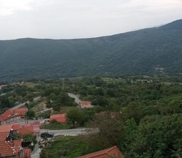 Timfristos Apartment | Άγρια Λούλουδα Κατοικία Ευτυχία