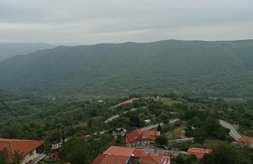 Timfristos Apartment | Άγρια Λούλουδα Κατοικία Αρμονία